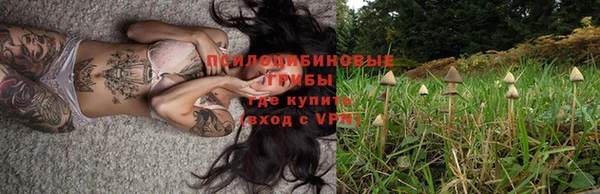 круглые Алексеевка