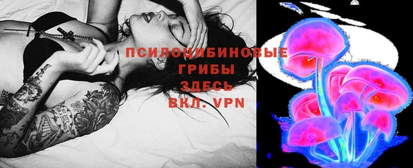 дмт Алексин