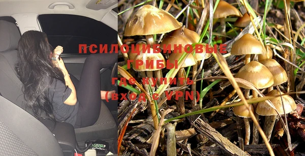 ALPHA-PVP Алзамай