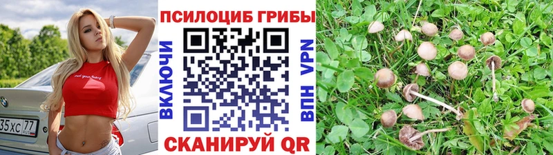 Псилоцибиновые грибы Magic Shrooms  Мамоново 